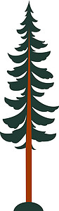 白色背景上的高大松树插画矢量图片