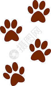 白色背景上的动物爪子宠物野生动物脚趾脚印痕迹打印插图小狗卡通片图片