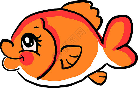 白色背景上的胖金鱼插画矢量图片