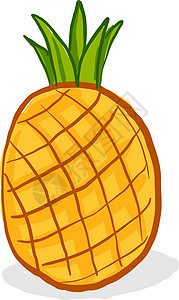 白色背景上的新鲜菠萝插画矢量绿色饮食插图热带甜点打印水果植物异国黄色图片
