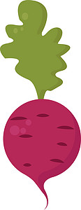 白色背景上的粉色萝卜插画矢量绿色样式植物荔枝插图作品农业平面蔬菜叶子图片