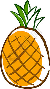 白色背景上的菠萝植物饮食插图食物草图甜点绘画凤梨水果热带图片
