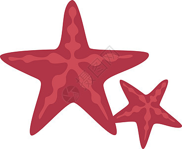白色背景上的红色绘画星星动物热带海洋海滩海星生活旅行背景图片
