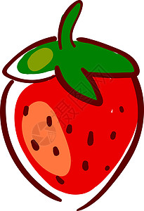 白色背景上的新鲜草莓插画矢量插图红色食物浆果甜点叶子宏观绿色水果图片