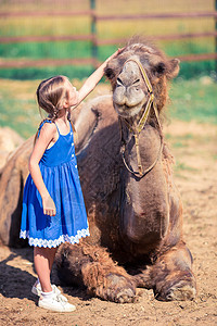 动物园里有骆驼的小女孩 在温暖和阳光明媚的夏日宠物热带情调游客驼峰家庭孩子乐趣荒野童年图片