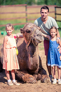 动物园里有骆驼的家庭 在温暖和阳光明媚的夏日图片