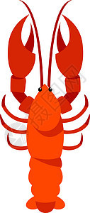白色背景上的海洋红色菜单美食厨房动物市场艺术龙虾海鲜背景图片