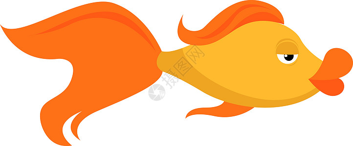 白色背景上的金鱼插画矢量水族馆海洋动物尾巴热带橙子金子鱼缸宠物游泳图片