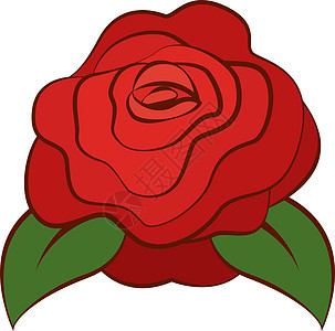 白色背景上的红玫瑰插画矢量红色叶子礼物花瓣插图绘画玫瑰庆典背景图片