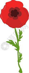 白色背景上的红色婚礼绘画叶子玫瑰绿色植物艺术花束水彩图片