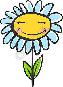 白色背景上的快乐雏菊黄色植物群花瓣甘菊洋甘菊绿色叶子卡片植物图片
