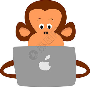 白色背景上工作的猴子背景图片