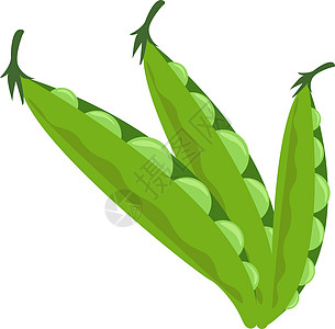 白色背景上的食物绘画青豆营养插图叶子植物蔬菜绿色生活图片