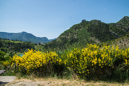 蛋白糖 奶油查兰康 德罗米 易碎生长山峰场地绿色天空土地场景植物黄色图片