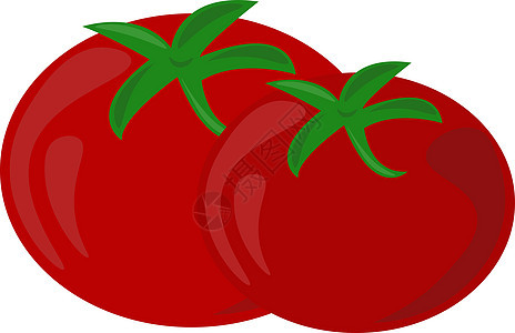白色背景上的新鲜西红柿插画矢量蔬菜叶子农业植物圆形沙拉绿色红色食物图片