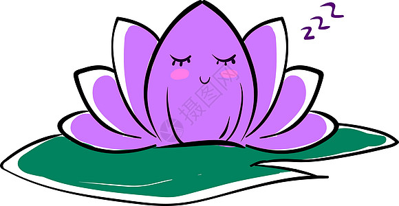 白色背景上的紫莲花图片