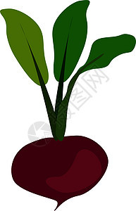 白色背景上的蔬菜水彩健康紫色叶子食物花园绿色艺术红色图片