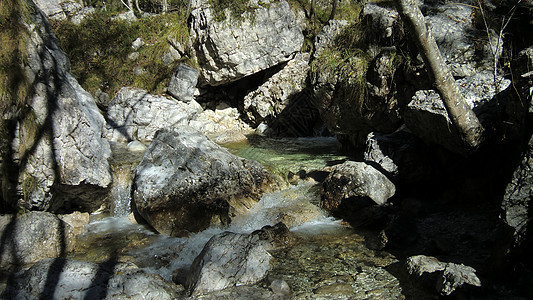 多洛米特河的水道石头公园灌木丛旅行瀑布河道环境植物荒野森林图片