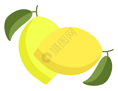 白色背景上的新鲜柠檬插图矢量图片