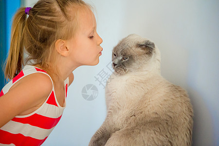 可爱的小女孩在家亲宠物猫 孩子和宠物之间的爱女性女孩享受喜悦童年猫科动物群幸福乐趣微笑图片