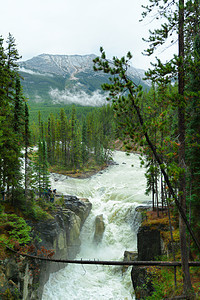 加拿大艾伯塔州贾斯珀市流动国家公园瀑布风景旅行溪流旅游绿色森林图片