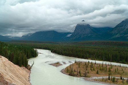 阿萨巴斯卡河 加拿大落基山脉 艾伯塔省 加拿大树木风景森林公园天空溪流绿色旅游国家荒野图片