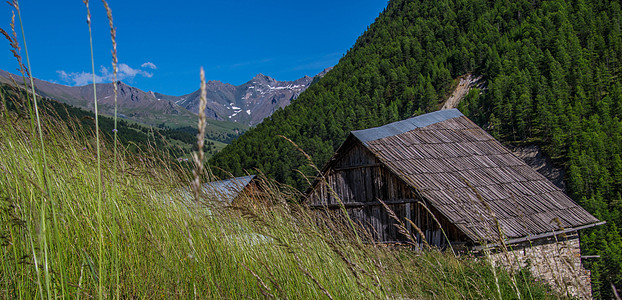 法兰西高硫醚风景房子蓝色田园阳光农家绿色天空场景山脉图片