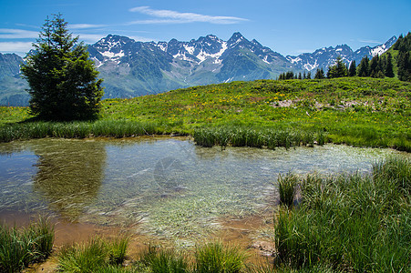 比利多酮山 米斯拉山 frucence山绿色山脉雪山生长植物旅游季节风景场景目的地图片