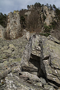 玫瑰花 胡萝卜 金发场景林地天空孤独风景岩石物体悬崖图片