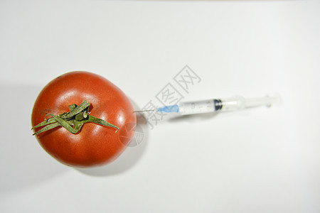 不加重点的注射针筒注射番茄 转基因生物和实验室研究c图片