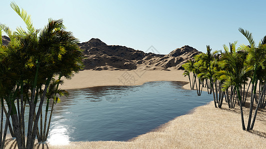 3d 开垦  沙漠中的绿洲衬套计算机图形数字插图气候图像热浪地点绿色背景图片