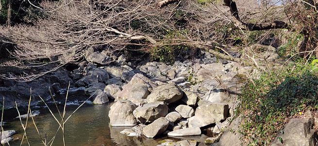 一个充满岩石的溪水 以树枝为圣图片