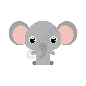 可爱的小坐象 非洲动物图片