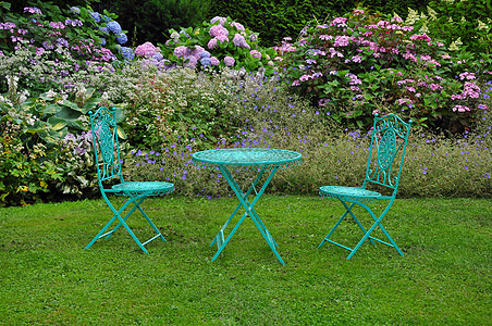 园桌和椅子草地座位绣球花植物群花朵植物院子衬套家具灌木图片