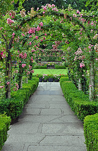 玫瑰花园拱门图片