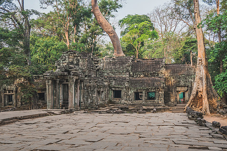 柬埔寨吴哥尔瓦塔普罗姆寺庙防盗树根旅游历史文化地标佛教徒建筑收获建筑学高棉语石头图片