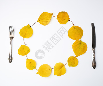 黄干杏树叶的叉子 刀子和圆花环花圈圆圈季节叶子橙子植物环境框架植物群花园图片
