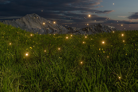 飞虫在草地上飞行 3D投影荒野渲染环境花园风景草原雏菊农村辉光萤火虫图片