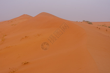 日出时的沙漠带出大胆的焦橙色沙子图片