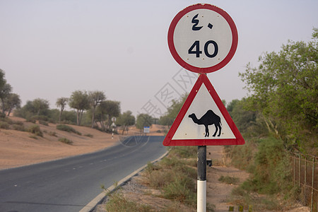请注意Came;在沙漠公路或街道上交叉签字图片