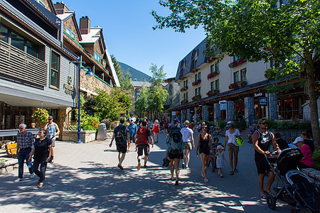 夏天的Whistler村街道 在漫步中观望风景树木森林顶峰假期旅游岩石环境公园石头图片