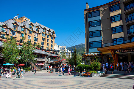 夏天的Whistler村街道 在漫步中观望村庄树木假期石头环境风景植物公园酒店蓝色图片