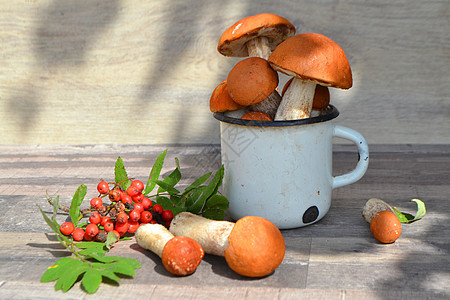 生锈的金属杯子里有可食用的森林蘑菇和图片