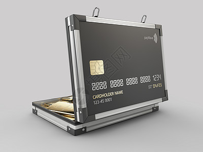 3d 以金条金属案的形式提出信用卡 D 与金条公司一起提交图片