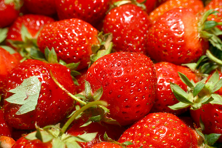 红色有机有机草莓浆果色彩人群生活方式食物健康饮食横截面叶子水果市场图片