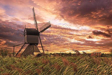 强风吹过野草栅栏之上的荷兰风车环境堤防反射草地建筑农场农村建筑学力量天空图片