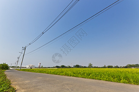 公路和铁路战地图片