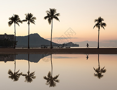 在Waikiki夏威夷与棕榈树一起在海洋上升起全景游客风景热带天际假期旅游反思粉色钻石头图片