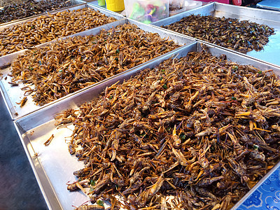 弗里昆虫油炸美食小吃文化食物情调异国热带营养市场图片