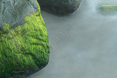 在花岗岩岩石上海浪中绿苔和海草持续时间长海岸流动海滩海藻冲浪石头海洋绿色图片